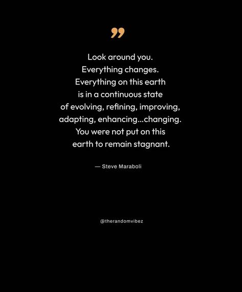 Evolve Quotes For Change And Growth In Life (Evolution) Change Quotes Positive Mindset, People Grow And Change Quotes, Self Evolution Quotes, Changing Lives Quotes, Life Changes Quotes, Evolve Or Repeat Quote, Quotes For Change, Be The Change Quotes, Grow Evolve Transform Butterfly