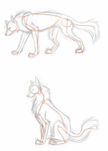 Drawing Wolf, Wolf Poses, Wolf Sketch, 강아지 그림, Wolf Drawing, Drawing Faces, A Wolf, Animal Sketches, Arte Animal