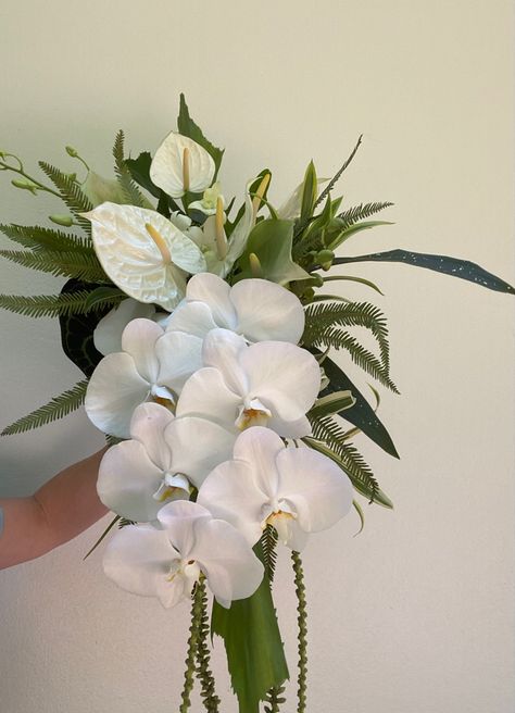 Tropical blooms for a Darwin wedding - Orchid, Anthurium and fabulous foliage Anthurium Wedding Bouquet, Anthurium Bouquet, Tropical Bridal Bouquet, Orchid Bouquet Wedding, Small Bridal Bouquets, Tropical Wedding Bouquets, Pearl Bouquet, Orchid Bouquet, Green Bouquet