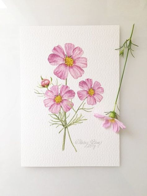 Pink+Cosmos+bipinnatus,+Botanical+Painting,+Giclee+Print+of+an+Original+Watercolor,+Delicate+Pink+Flower+in+3+sizes. Cosmos Bipinnatus, Pink Cosmos, Pink Flower Painting, Nature Journaling, Cosmos Flowers, Black Holes, Watercolor Flower Art, 수채화 그림, Watercolor Flowers Paintings