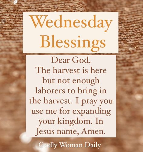 Wednesday Blessings - The harvest is full!💛 Worship Wednesday, Wednesday Blessings, Wonderful Wednesday, Joshua 1, The Harvest, You Used Me, Dear God, Heavenly Father, Daily Devotional