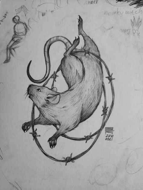 Rat Art Dark, Badger Tattoo, Rat Tattoo, Becoming A Tattoo Artist, Occult Tattoo, Mouse Tattoos, Egypt Tattoo, Trippy Drawings, Witch Tattoo