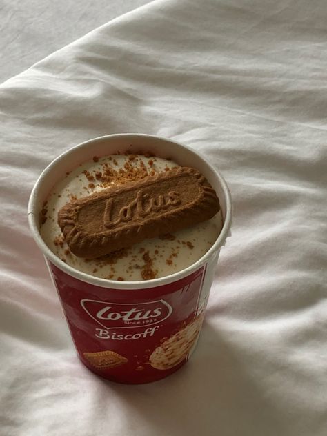 Ice Cream Instagram, Biscoff Ice Cream, Biscoff Cream, Ice Cream Aesthetic, Fruit Chip, Road Trip Food, Lotus Biscoff, Pink Foods, Yummy Comfort Food