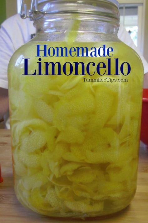 Lemon Chelo Recipe, Homemade Alcohol Gifts, Lemon Cello Recipe, Italian Limoncello Recipe, Limoncello Cocktails, Making Limoncello, Limoncello Recipe, Homemade Limoncello, Homemade Alcohol