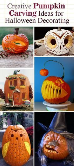 Creative Pumpkin Carving Ideas for Halloween Decorating! Creative Pumpkin Carving Ideas, Halloween Pumpkin Carving, Pumkin Carving, Halloween Decor Diy, Creative Pumpkin Carving, Pumpkin Contest, Pumpkin Carving Designs, Pumpkin Carving Ideas, Halloween Pumpkin Designs