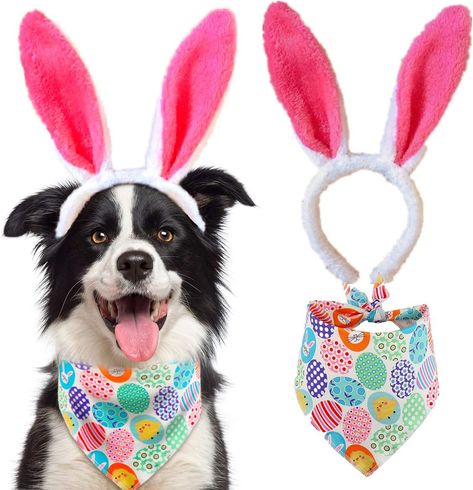 Egg Dog, Easter Bunny Ears Headband, Dog Easter, Easter Costume, Easter Photoshoot, Bunny Ears Headband, Easter Dog, Pet Dress, Cute Animals Images