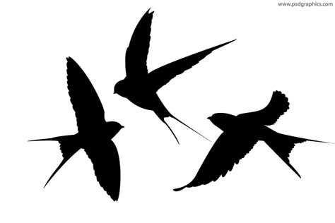 Swallow sillhoettes on the front then full size swallow on my back Swallow Silhouette, Tiny Bird Tattoos, Silhouette Tattoo, Open Wings, Swallow Tattoo, Chicano Tattoo, Silhouette Tattoos, Bird Tattoos, Embroidery Lessons