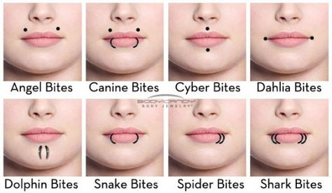 Other Lip Piercings Spiderbite Piercings, Piercing Bump, Piercing Bouche, Mouth Piercings, Spider Bite Piercing, Types Of Facials, Surface Piercing, Piercing Chart, Piercing Conch