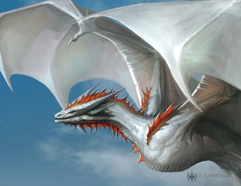 White Wyvern, Painting Dragon, Game Of Thrones Artwork, Doodle Painting, Game Of Thrones Dragons, Got Dragons, Dragon Princess, Devian Art, Dragon Artwork Fantasy