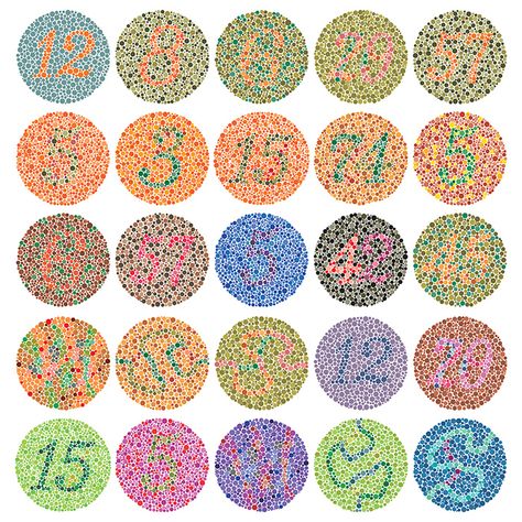 Colour Blind Test, Colorblind Test, Eye Color Test, Color Blind Test, Color Vision Deficiency, Science Experience, Colour Blind, Blind Test, Test Image