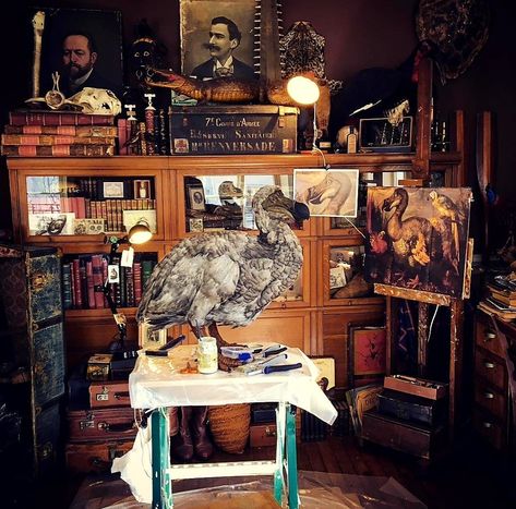 Naturalist Aesthetic, Victorian Naturalist, Interiors Inspiration, Cabinet Of Curiosities, Vision Boards, Needful Things, Interior Inspiration, House Ideas, Houston