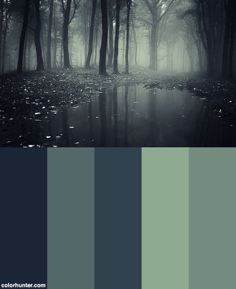 Pond In A Forest With Fog Color Scheme. Colours for "dark fantasy" theme. Dark Aesthetic Color Pallet, Dark Forest Colour Palette, Dark Color Schemes Colour Palettes, One Color Palette, Fantasy Aesthetic Color Palette, Dark Moody Color Scheme, Darkness Color Palette, Swamp Colour Palette, Dark Forest Palette