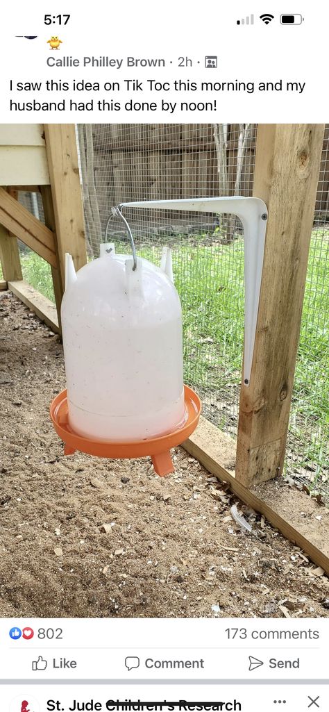 Hang Chicken Water, Chicken Coop Food And Water Ideas, Backyard Animals, Cute Chicken Coops, Chicken Coop Garden, Chicken Pen, Backyard Chicken Coop Plans, Diy Chicken Coop Plans, Chicken Feeders