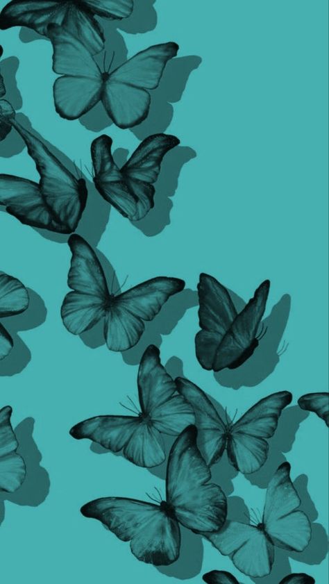 Turquoise Butterfly Wallpaper, Teal Blue Wallpaper Iphone, Blue Green Wallpaper Aesthetic, Teal Aesthetic Pictures, Teal Wallpaper Aesthetic, Teal Wallpaper Iphone, Lexy Cross, Turquoise Aesthetic, Aesthetic Butterfly