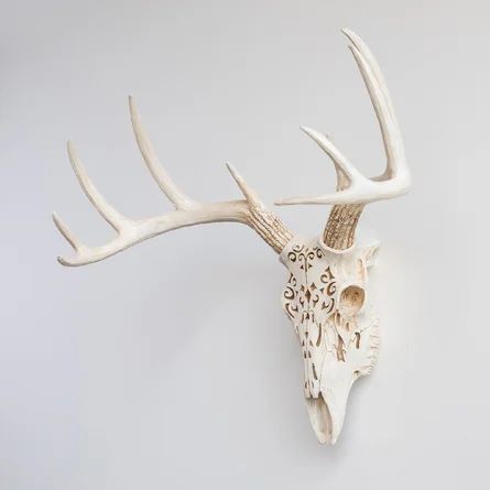 Deer Skull Wall Mount, Deer Skull Decor, Buck Skull, Skull Taxidermy, Deer Skull Art, Taxidermy Deer, Western Goth, Cow Skull Art, Animal Mounts