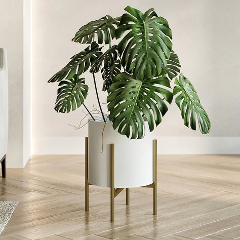 Raya White Mid-Century Modern Planter with 4-Leg Metal Base - On Sale - Bed Bath & Beyond - 37521227 Mid Century Modern Planter, Mid Century Plants, Midcentury Modern Style, Outdoor Garden Planters, Modern Planter, Planter Design, White Planters, Modern Planters, Mid Century Modern Style