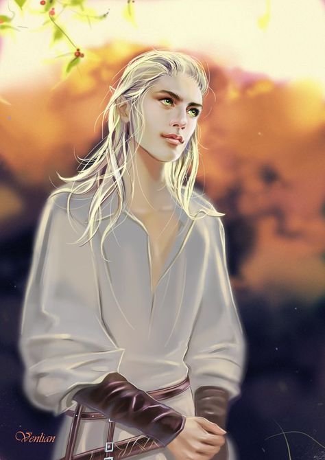 MALE ELVEN Male Elf, Elves Fantasy, Elf Art, Bilbo Baggins, High Elf, Fantasy Male, Thranduil, Legolas, Arte Fantasy