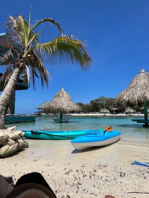 Carribean Asethic, Caribbean Life Aesthetic, Sloths Aesthetic, Private Island Aesthetic, Carribean Aesthetics, Honduras Aesthetic, Honduras Vacation, Sloth Aesthetic, Peacock Aesthetic