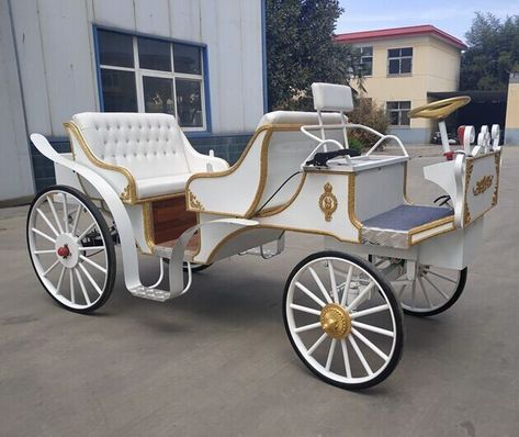 Horseless Carriage, Horse Carriage, Convertible Top, Electric Vehicles, Lead Acid Battery, Performance Cars, Sacred Art, Import Export, Car Car