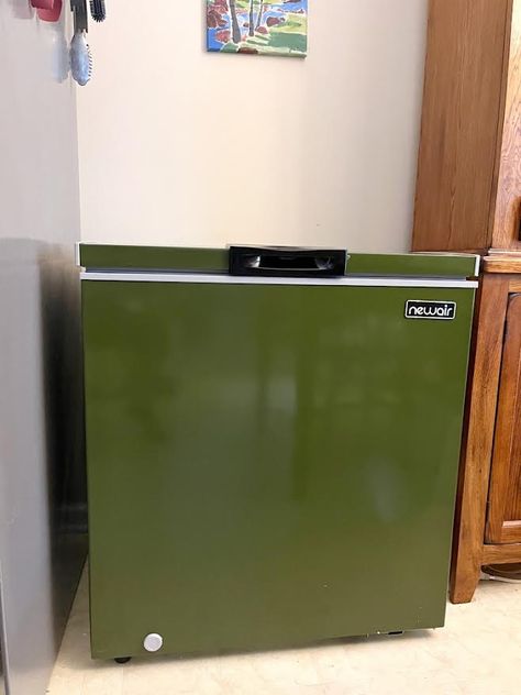 Deep Freezer, Pint Of Ice Cream, Chest Ideas, Beverage Fridge, Long Term Storage, Galley Style Kitchen, Chest Freezer, Frozen Food, Cleaning Solutions