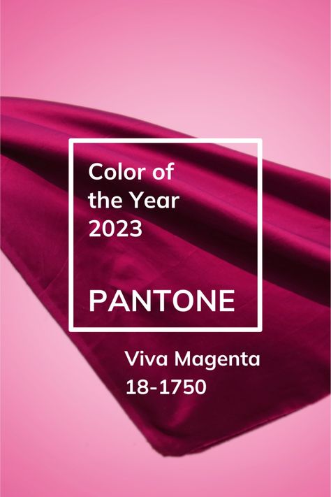 Fuschia Paint Colors, Magenta Bedroom Ideas, Dark Magenta Dress, Magenta Wall Paint, Magenta Bathroom, Magenta Office, Viva Magenta Color Combination, Viva Magenta Color Palette, Magenta Bedrooms