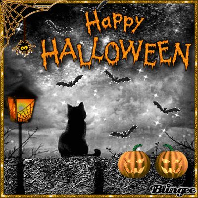 Spooky Flying Bat Happy Halloween Gif Pictures, Photos, and Images for Facebook, Tumblr, Pinterest, and Twitter Bat Flying Gif, Gif Halloween, Happy Halloween Gif, Babies Pictures, Halloween Live Wallpaper, Movies Pictures, Happy Halloween Pictures, Halloween Kitty, Flying Bat