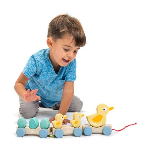 Pull Along Toys, Duck Toy, 3 Eggs, Little Duck, Baby Ducks, Second Baby, Sustainable Gifts, 2nd Baby, Toddler Learning