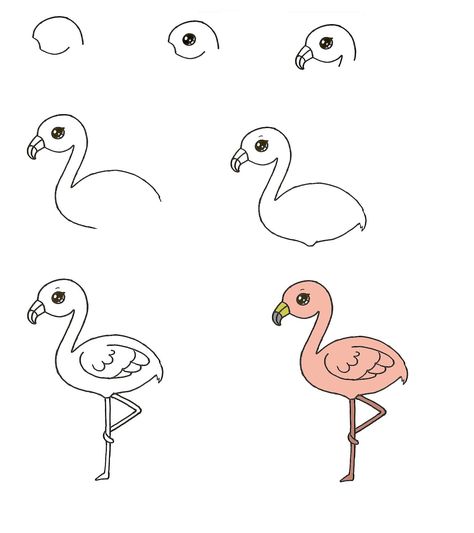 How To Draw A Flamingo In The Best Way 1 Draw A Flamingo, Flamingo Coloring Page, Lol Coloring Pages, Lol Coloring, Body Outline, Learning To Draw, Different Lines, Draw Two, Owls Drawing