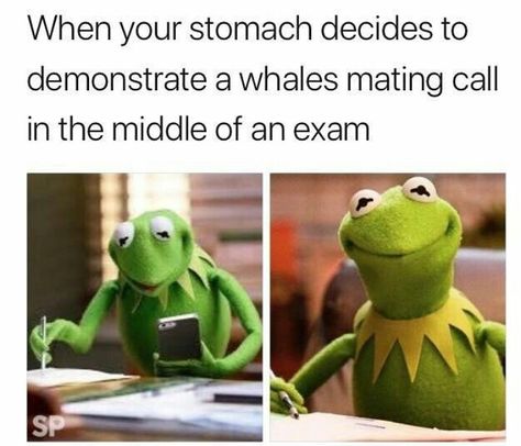 Memes Kermit, Funny Kermit Memes, Meme School, Staff Meeting, Kermit Funny, School Funny, A Staff, Funny School, School Memes