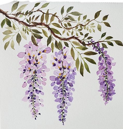 Hanging Flower Painting, Hanging Flowers Painting, Hanging Flowers Drawing, Wisteria Art, How To Start Painting, Painting Flowers Tutorial, Painting Walls, Flower Drawing Tutorials, Start Painting