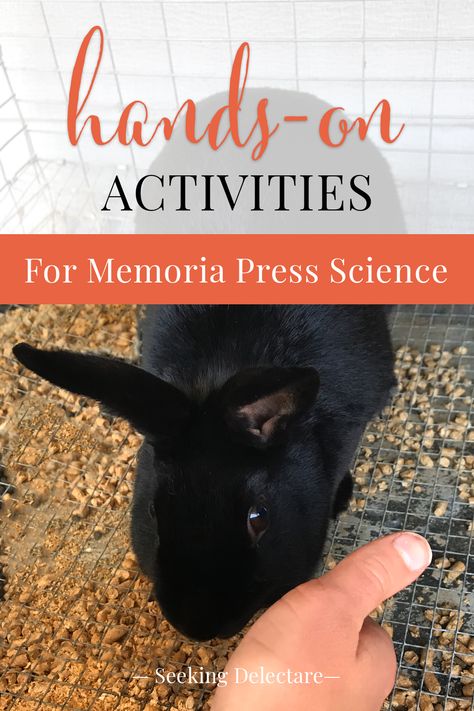 Memoria Press Homeschool, Classical Homeschooling, Memoria Press, Science Homeschool, Classical Homeschool, Homeschool Science Curriculum, Catholic Homeschool, Homeschool High School, Homeschool Schedule