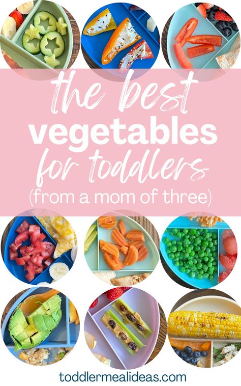 One Year Old Veggie Ideas, Vegetables For One Year Old, Ways To Get Toddlers To Eat Veggies, Veggies For One Year Old, Fun Veggies For Kids, Toddler Veggie Recipes, Toddler Vegetable Recipes, Vegetable Ideas For Kids, Toddler Meals With Veggies