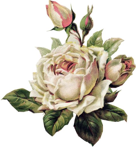 Vintage Rose Graphics | Paper Crafts – Vintage Pieces for Collage/Altered Art | Ammey's Art ... Altered Art Christmas, Vintage Flower Tattoo, Pale Pink Roses, Country Church, Vintage Diy, Rose Art, Graphic 45, Decoupage Paper, Pics Art