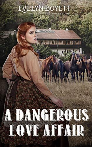 Teen Book Series, Western Romance Novels, Western Romance Books, Western Romance, Love Simon, Dangerous Love, Personal Library, Strong Character, How To Be Likeable