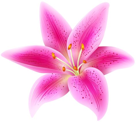 Lily Flower Clipart, Cartoon Lily Flower, Digital Flower Art, Pink Lily Flower, Yellow Png, Flower Transparent, Acrylic Painting Flowers, Sticker Png, Professional Writing