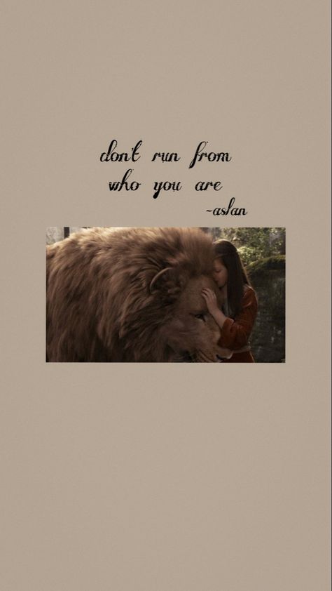 Lucy Aesthetic, Aslan Quotes, Narnia Wallpaper, Edmund Narnia, Narnia Cast, Narnia Quotes, Narnia Movies, Emotional Books, Narnia 3