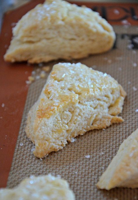 Scones Savory, Vanilla Bean Scones, High Altitude Baking, Mountain Mama, Vanilla Recipes, Scone Recipe, Savory Recipes, High Altitude, Dessert Recipe