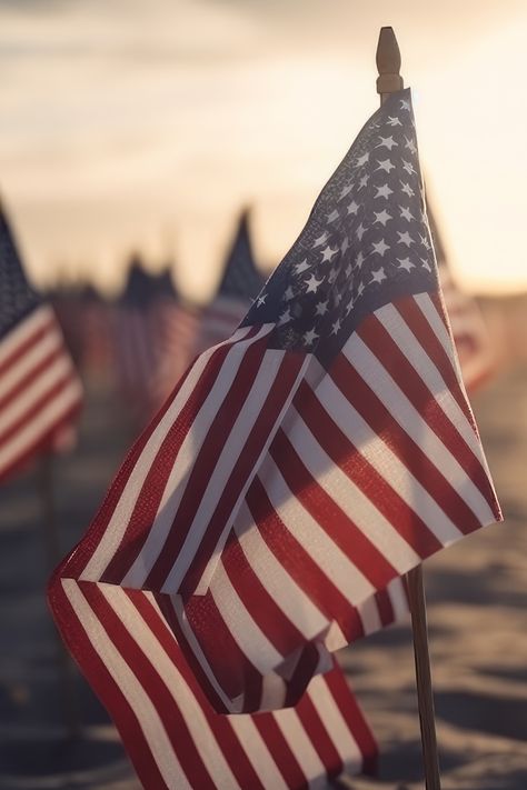 There are countless ways to pay tribute to America's fallen heroes. From visiting cemeteries and attending parades to supporting veteran-owned businesses and reflecting in silence, here are 12 proper ways to spend your memorial day weekend and show your gratitude. Learn more at https://www.nakedarmor.com/blogs/news/honoring-vets-on-memorial-day 🇺🇸❤️ #nakedarmor #memorialday #honorourheroes #neverforget #gratitude #fallenheroes #rememberingthefallen #supportourveterans #memorialdayweekend American Flag Memorial Day, Memorial Day Wallpaper, Veterans Day Photos, American Flag Images, Memorial Day Photos, Veterans Day Images, Patriotic Wallpaper, Beautiful America, Beard Shaving