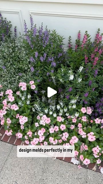 Marble Botanics on Instagram: "Bedding annuals, can bring the long color impact. Not for everywhere but worth the work is some spots in the garden. #annuals #vinca #diamondeuphorbia #angelonia #beddingannuals #flowers #gardening #plantlovers #gardenlovers #colorimpact #gardendesign #ncgardening #raleighgardening" Vinca Flowers Front Yards, Angelonia Flower, Vinca Flowers, Garden Annuals, Flowers Gardening, Container Flowers, Garden Lovers, Flower Beds, Garden Beds