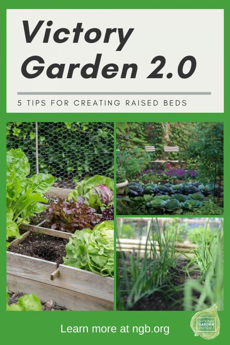 Victory Garden Plans, Plant Tomatoes, Start Gardening, Victory Gardens, Building Raised Beds, Metal Garden Beds, Home Exterior Ideas, Raised Bed Gardening, Organic Pest Control