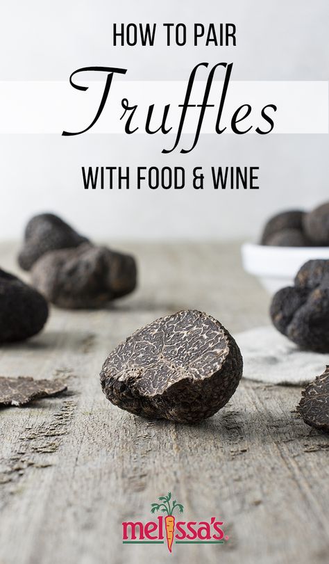 How to pair truffles with food and wine | white truffle, black truffle, winter truffle, italian truffle, truffle recipes, wine pairing, food and wine pairing, mushroom wine pairing Fresh Truffle Recipe, Wine Pairing Food, Black Truffle Recipe, Fresh Truffle, Truffle Oil Recipes, Italian Truffles, Truffle Cheese, Truffle Recipes, Black Truffles