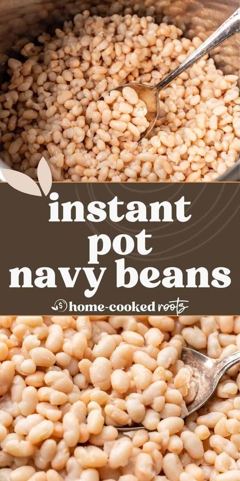 Instant Pot Navy Beans Recipe How To Cook Navy Beans In Instant Pot, Pressure Cooker Navy Beans, Dried Navy Beans Instant Pot, Instant Pot Navy Beans No Soak, Navy Bean Instant Pot, Pressure Cooker White Beans, Navy Beans In Instant Pot, Instapot White Beans, Dried Navy Bean Recipes