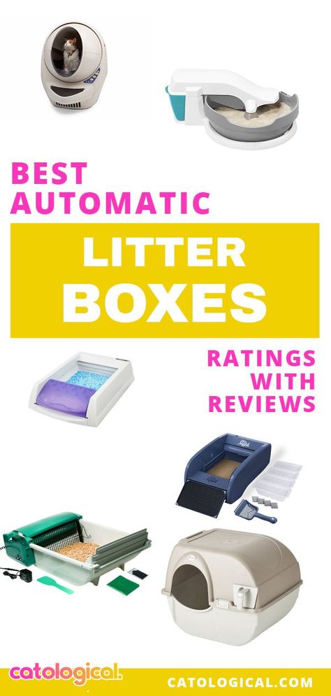 Kittens Care, Automatic Litter Box, Self Cleaning Litter Box, Best Cat Litter, Cleaning Litter Box, Best Cat Food, Cat Towers, Cat Litter Box Furniture, Cat Enclosure