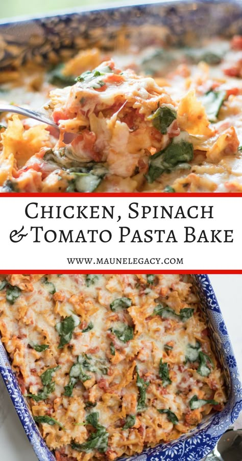 Easy Chicken, Spinach and Tomato Pasta Bake | Recipes & Lifestyle | Jennifer Maune Spinach And Tomato Pasta, Pasta Bake Recipes, Spinach Tomato Pasta, Tomato Pasta Bake, Spinach Pasta Bake, Resep Pasta, Pastas Recipes, Chicken Spinach, Chicken Pasta Bake