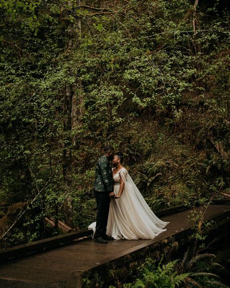 Just sent off the gallery for this super sweet couple who eloped at the Hoh Rainforest!! It was so special to them that they were able to exchange their vows here, and we found a couple hikers on the trail who were so happy to be a part of it as witnesses! Where would you elope? #elopement #elopementphotography #washington #washingtonelopement #washingtonelopementphotographer #hohrainforest Elope Dress, Hoh Rainforest, Fantasy Forest, Forest Wedding, Sweet Couple, Elopement Photography, The Trail, Super Sweet, The Gallery