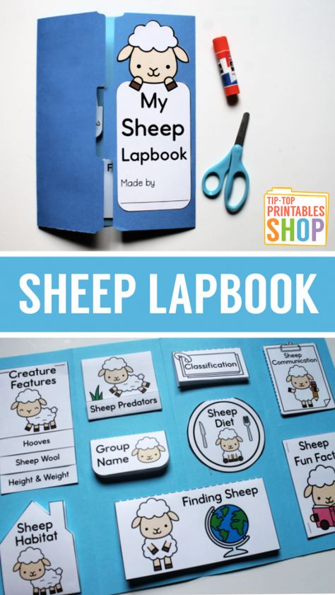 Preschool Lapbooks, Sheep Worksheet, 4h Sheep Project Lamb, Farm Lapbook, Sheep Activity, Sheep Sheering Preschool, Animal Lapbook, Wool Book, Homeschool Science Lessons