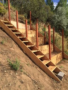 Steep hillside terraces with staircase, to be turned into a chicken coop. Sloped garden beds. DIY terraced beds. Hillside Terrace, Sloped Backyard Landscaping, Landscaping A Slope, Sloped Yard, Hillside Garden, Sloped Backyard, Garden Stairs, Tiered Garden, Hillside Landscaping