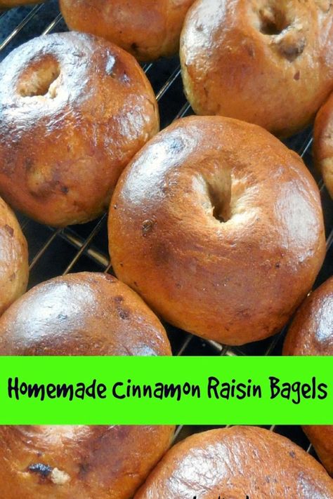 Homemade Cinnamon Raisin Bagels. Delicious and chewy these bagels are slightly sweet thanks to the raisins and are perfect with butter or cheddar cheese. #bagels #homemadebagels #cinnamonraisin via @BooksCooksLooks Cinnamon Bagel, Cinnamon Raisin Bagels, Raisin Bagels, Cinnamon Raisin Bagel, Bagels Recipe, Plain Bagel, Homemade Bagels, Bagel Recipe, Cinnamon Raisin