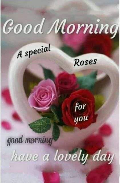 Romantic Good Morning Messages, Good Morning Sister, Special Good Morning, Lovely Good Morning Images, Latest Good Morning, Good Morning Beautiful Gif, Good Morning Love Messages, Morning Quote, Good Morning Roses