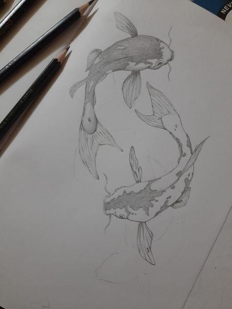 Koi fish Sketch Book Koi Fish, Japanese Coy Fish Drawing, Koi Fish Sketches, Kio Fish Drawing, Coy Fish Drawing Simple, Koi Art Drawing, Koy Fish Paintings, Koi Fish Drawing Sketches, Koi Fish Drawing Simple